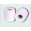 ӹСֽ( toilet paper rolls)